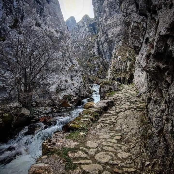 Гостевой дом Casa Cuevas Куэвас Экстерьер фото